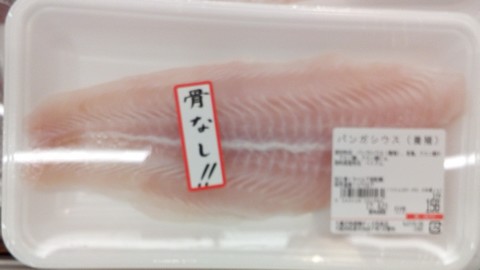 白身魚 パンガシウスとは 海水魚の種類と釣り方