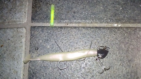 夜釣りサビキ仕掛け ケミホタルで釣れやすくなる 海水魚の種類と釣り方