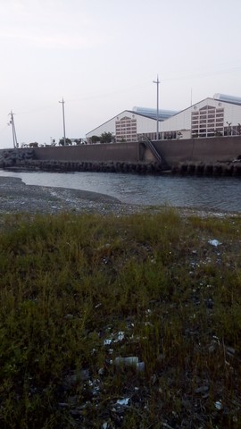 シーバスの釣り場 和歌山 谷川港周辺 東川 (3)