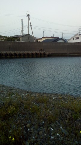 シーバスの釣り場 和歌山 谷川港周辺 東川 (2)