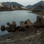 シーバスの釣り場 和歌山 谷川港周辺 東川 (1)