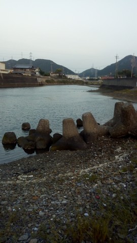 シーバスの釣り場 和歌山 谷川港周辺 東川 (1)