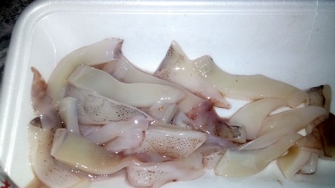ぶっこみ釣りの餌 イカの切り身の画像