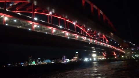 釣り場 神戸 北公園 夜 大橋