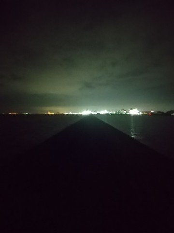 夜釣り 明かり 工場