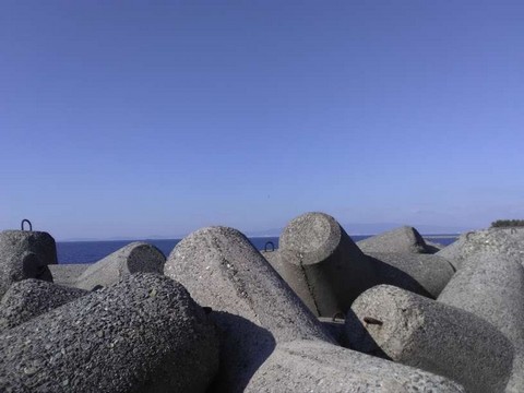 貝塚人工島のテトラ